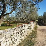 Elizej
