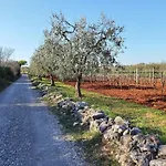 Elizej Apartamento