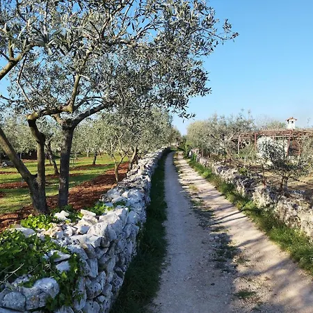 Elizej Appartement *