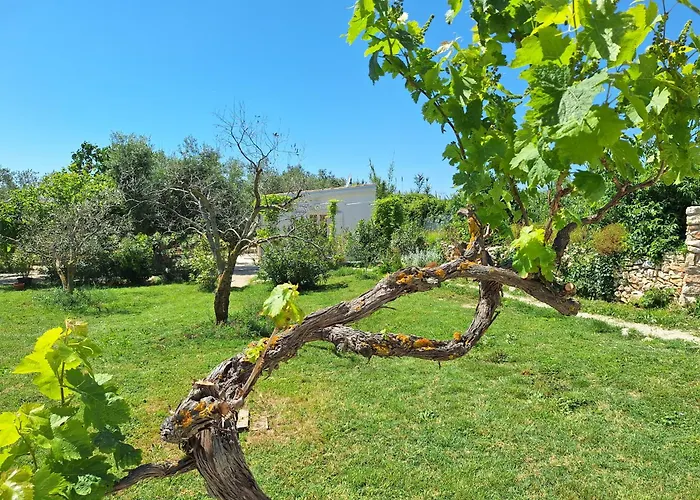 Lejlighed Elizej Fažana