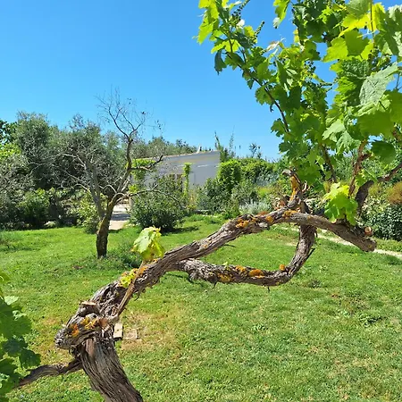 Appartamento Elizej Fažana